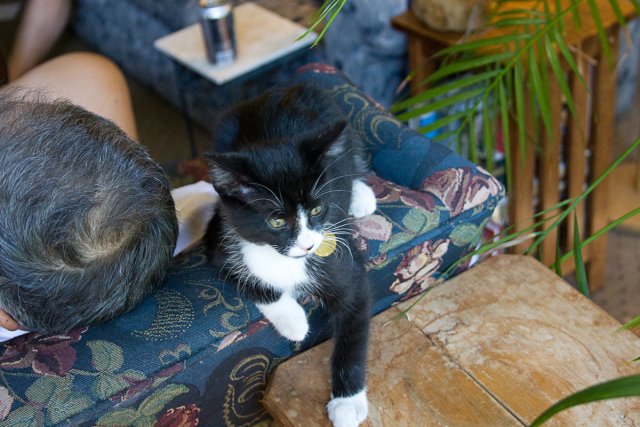 Misha_2008-07-10_IMG_0070